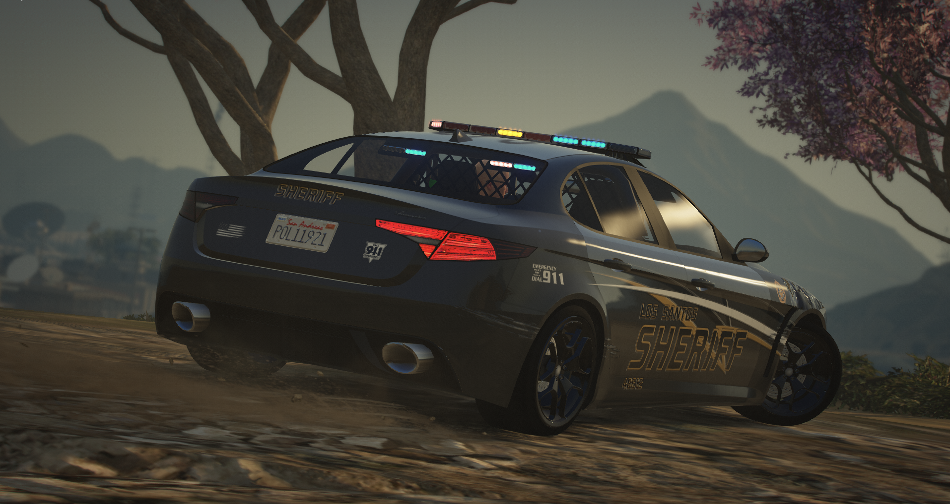 LSSD Gallery