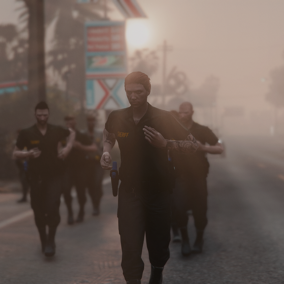 LSSD Gallery