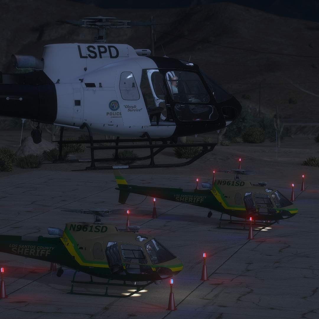 LSSD Gallery